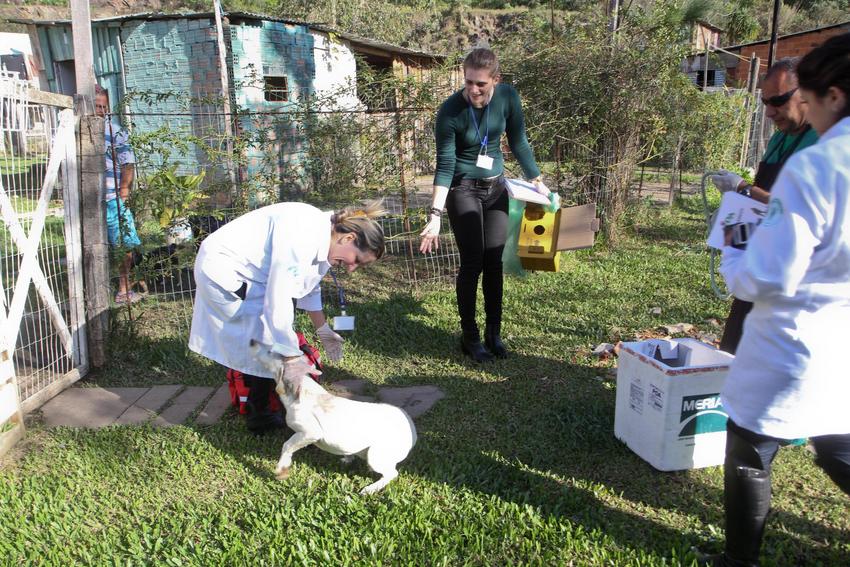 Unidade de Medicina Veterinária (UMV) realiza atendimento de animais comunitários na Vila das Laranjeiras