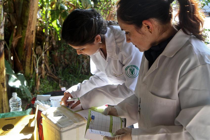 Unidade de Medicina Veterinária (UMV) realiza atendimento de animais comunitários na Vila das Laranjeiras