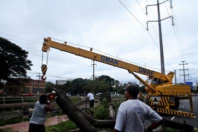 Retirada de árvore que caiu na av. Ipiranga - Local: entre a av. Ramiro Barcelos e rua Santana – próximo ao Palácio da Polícia