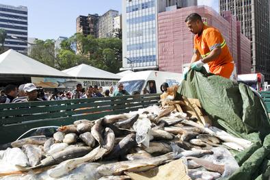 SMS, através da CGVS/EVa realiza fiscalização de pescados para abastecimento da Semana Santa Local: Largo Glênio Peres