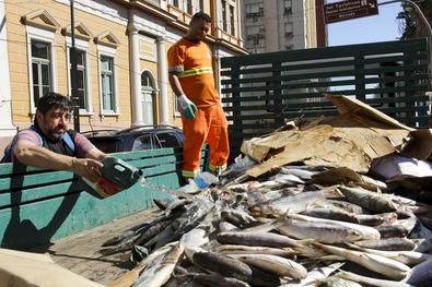 SMS, através da CGVS/EVa realiza fiscalização de pescados para abastecimento da Semana Santa Local: Largo Glênio Peres