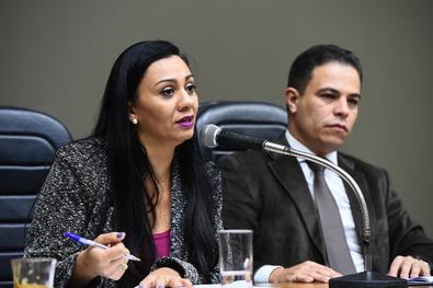 Helen Machado apresenta planejamento da Carris na Câmara de Vereadores