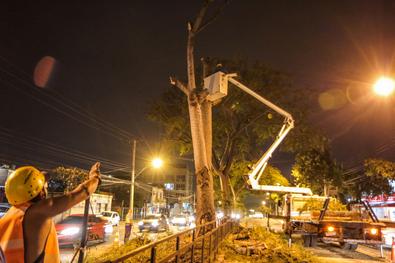 Equipe de podas e supressões de árvores da Secretaria de Serviços Urbanos trabalharam na Avenida Nonoai na noite desta quarta-feira, 3 