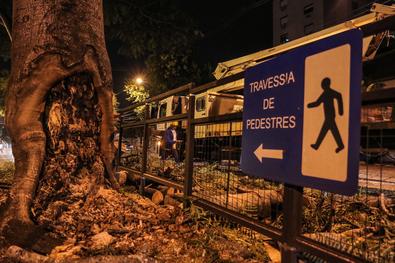 Equipe de podas e supressões de árvores da Secretaria de Serviços Urbanos trabalharam na Avenida Nonoai na noite desta quarta-feira, 3 