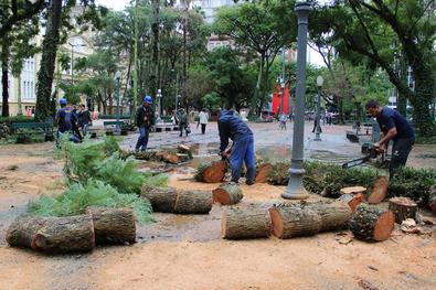 Equipes da SURB retiram árvore caída sobre passeio na Praça da Alfândega nesta quinta-feira, 8