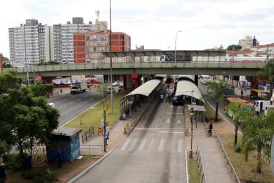 Mutirão de limpeza ocorreu do viaduto Utzig até a Plínio Brasil Milano