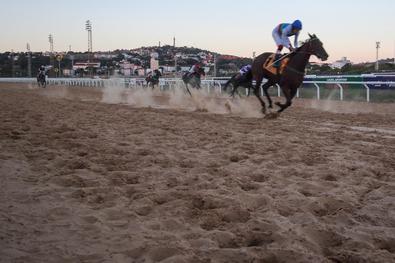 Clássico Cidade de Porto Alegre - Local: Jockey Club