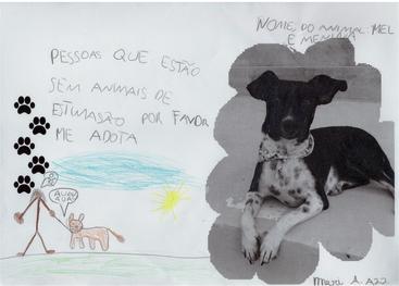 Trabalhos escolares sobre bem-estar animal realizados pelas turmas A21 e A22 da EMEF Deputado Marcirio G. Loureiro