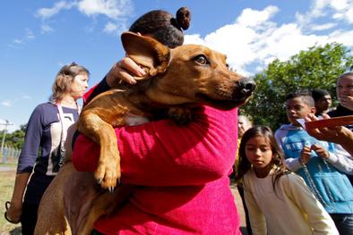 Animais tratados pela Unidade de Medicina Veterinária (UMV) são devolvidos aos donos Local: Vila das Laranjeiras