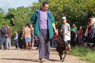 Animais tratados pela Unidade de Medicina Veterinária (UMV) são devolvidos aos donos Local: Vila das Laranjeiras