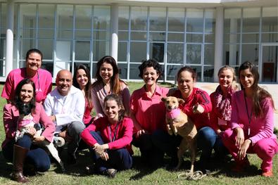 Veterinários vestem rosa para incentivar esterilização em fémeas caninas